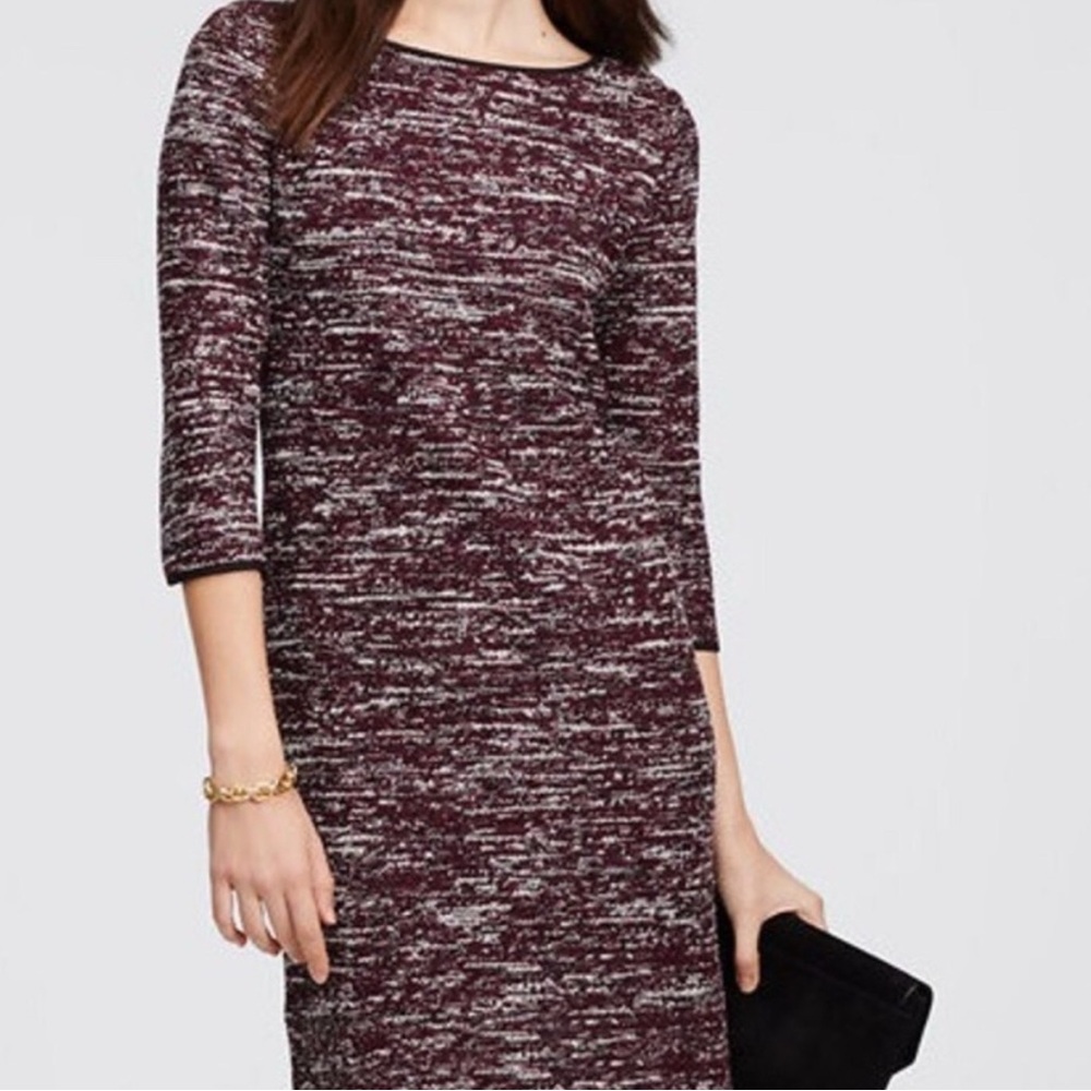 Ann Taylor Maroon and White Knit Dress
